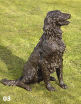 josh -flat coat retriever