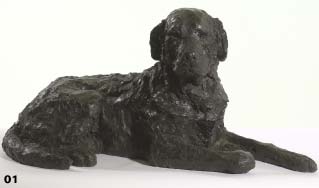 zuleika - labrador Zuleika - Labrador