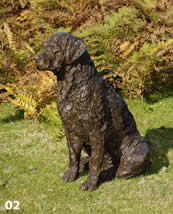 quilla - labrador Ambrose - Retriever