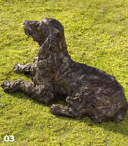 ruby - cocker spaniel ruby - cocker spaniel