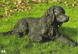 Poppy - Springer Spaniel