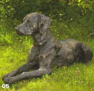 spirit - weimaraner Spirit - Weimaraner