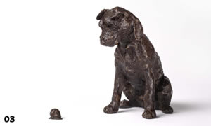 jaxson - border terrier