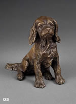 peanut - cavalier king charles spaniel