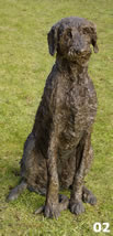 Douglas - Young Wolfhound
